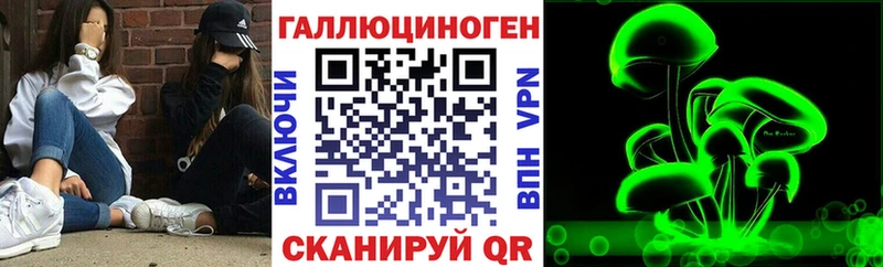 наркотики  Гаврилов Посад  Псилоцибиновые грибы прущие грибы 